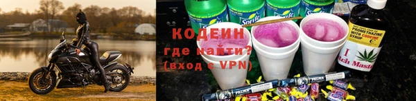 ГАЛЛЮЦИНОГЕННЫЕ ГРИБЫ Заполярный